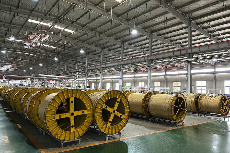 Jiayao Co., Ltd. خط إنتاج المصنع